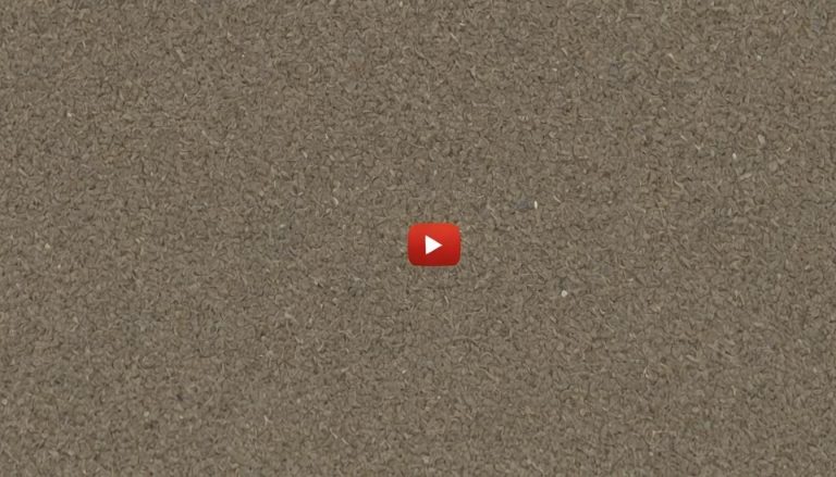 Comment créer des vidéos attractives pour YouTube